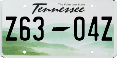 TN license plate Z6304Z