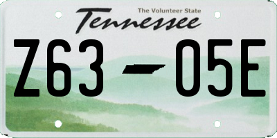 TN license plate Z6305E