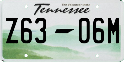 TN license plate Z6306M