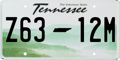 TN license plate Z6312M