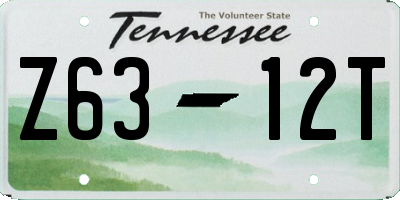 TN license plate Z6312T
