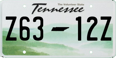 TN license plate Z6312Z