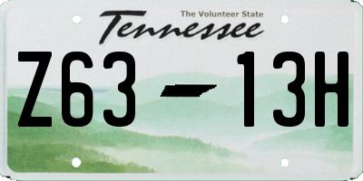 TN license plate Z6313H