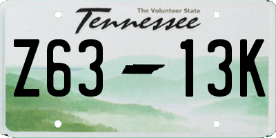 TN license plate Z6313K
