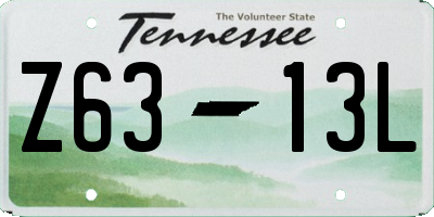 TN license plate Z6313L