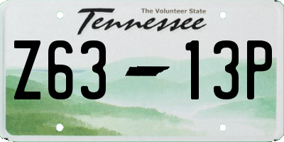 TN license plate Z6313P