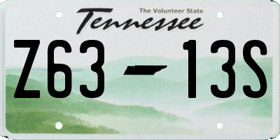 TN license plate Z6313S