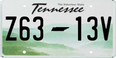 TN license plate Z6313V