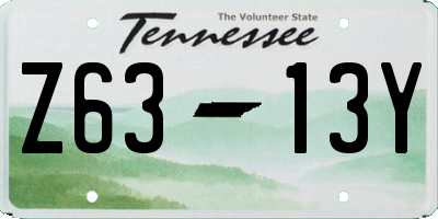 TN license plate Z6313Y