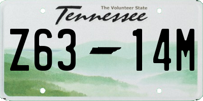 TN license plate Z6314M