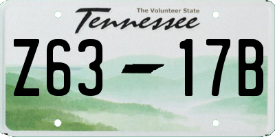 TN license plate Z6317B