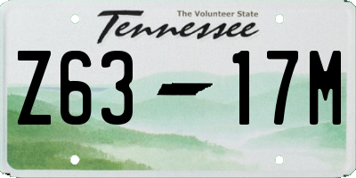TN license plate Z6317M