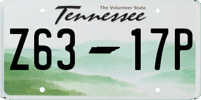 TN license plate Z6317P