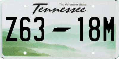 TN license plate Z6318M