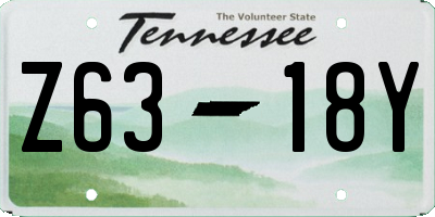 TN license plate Z6318Y