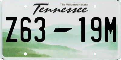TN license plate Z6319M