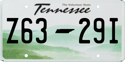TN license plate Z6329I