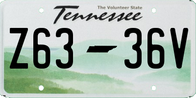 TN license plate Z6336V