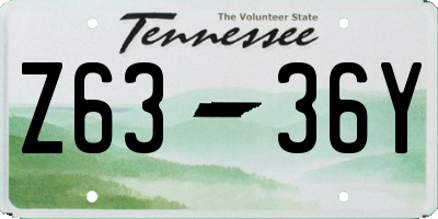 TN license plate Z6336Y