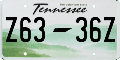 TN license plate Z6336Z