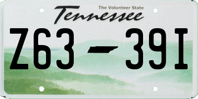 TN license plate Z6339I