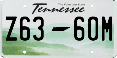 TN license plate Z6360M