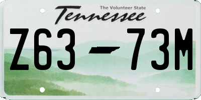 TN license plate Z6373M