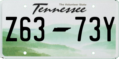 TN license plate Z6373Y
