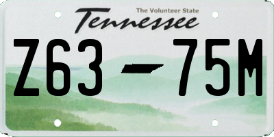 TN license plate Z6375M