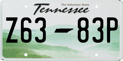 TN license plate Z6383P