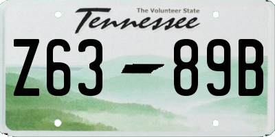 TN license plate Z6389B