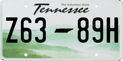 TN license plate Z6389H