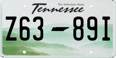 TN license plate Z6389I