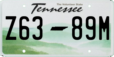 TN license plate Z6389M