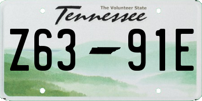 TN license plate Z6391E
