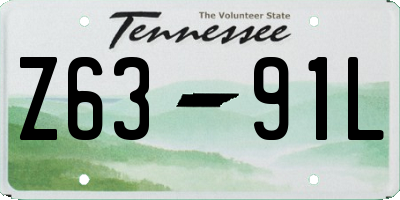 TN license plate Z6391L