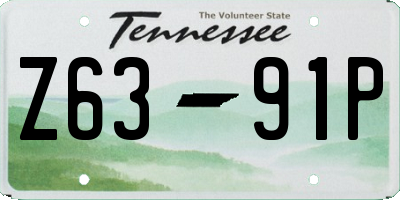 TN license plate Z6391P