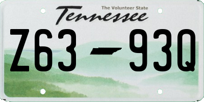 TN license plate Z6393Q