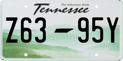 TN license plate Z6395Y