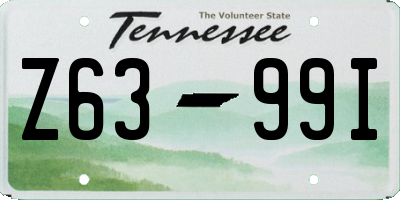 TN license plate Z6399I
