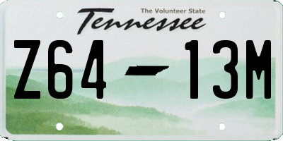 TN license plate Z6413M