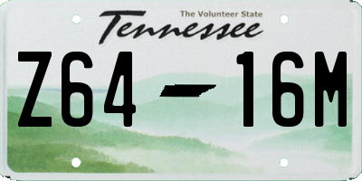 TN license plate Z6416M
