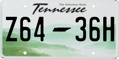 TN license plate Z6436H
