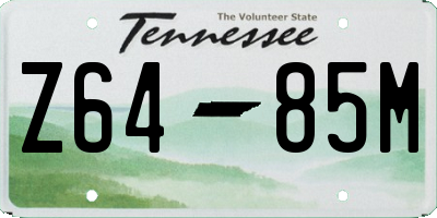 TN license plate Z6485M