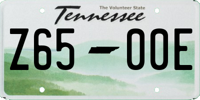 TN license plate Z6500E