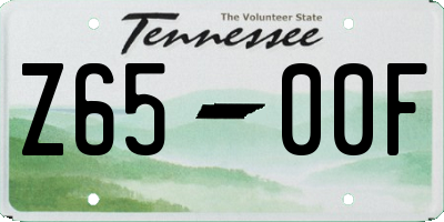 TN license plate Z6500F