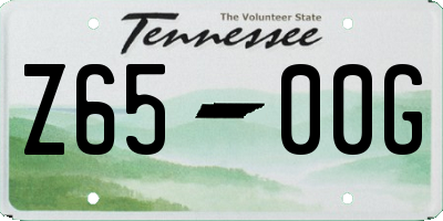TN license plate Z6500G