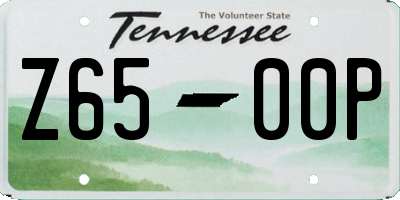TN license plate Z6500P