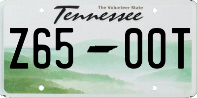 TN license plate Z6500T