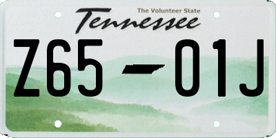 TN license plate Z6501J